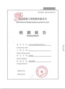 泰安公司检测报告